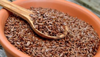 How To Use Flax Seeds