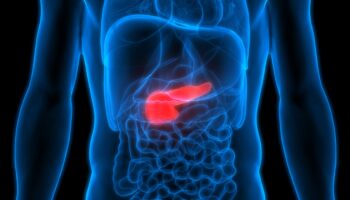 What is The Function of The Pancreas?